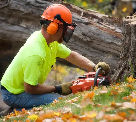 tree services Cape Girardeau